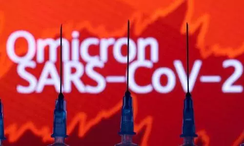 Detection of Omicron variant of COVID-19 in India was expected: WHO