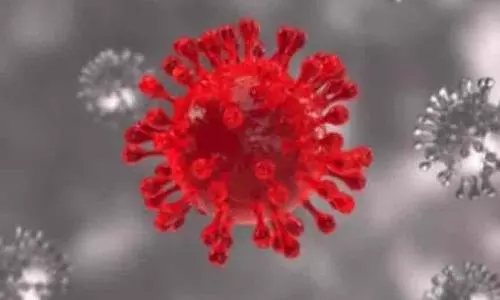 10 South African nationals missing worries Ktaka Govt amid Omicron scare