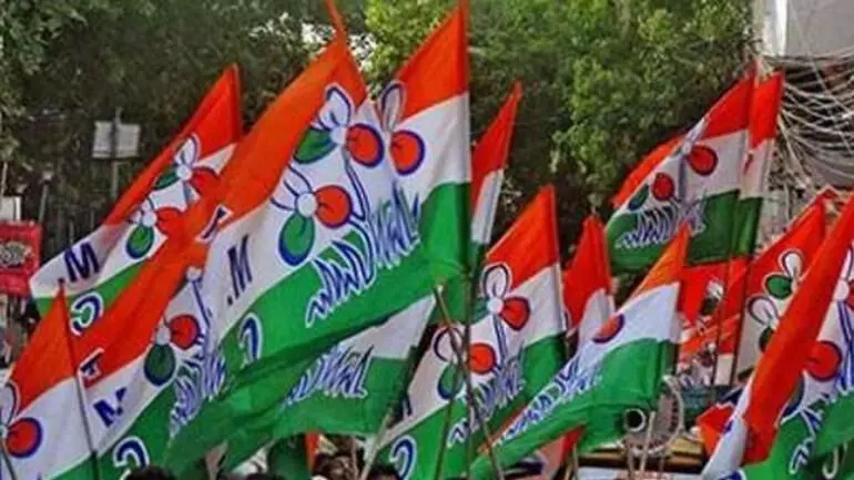 Trinamool to abstain from Vice President elections