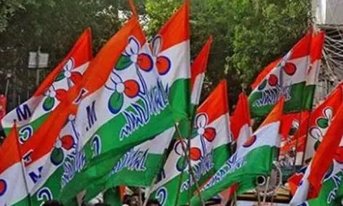 Trinamool to abstain from Vice President elections