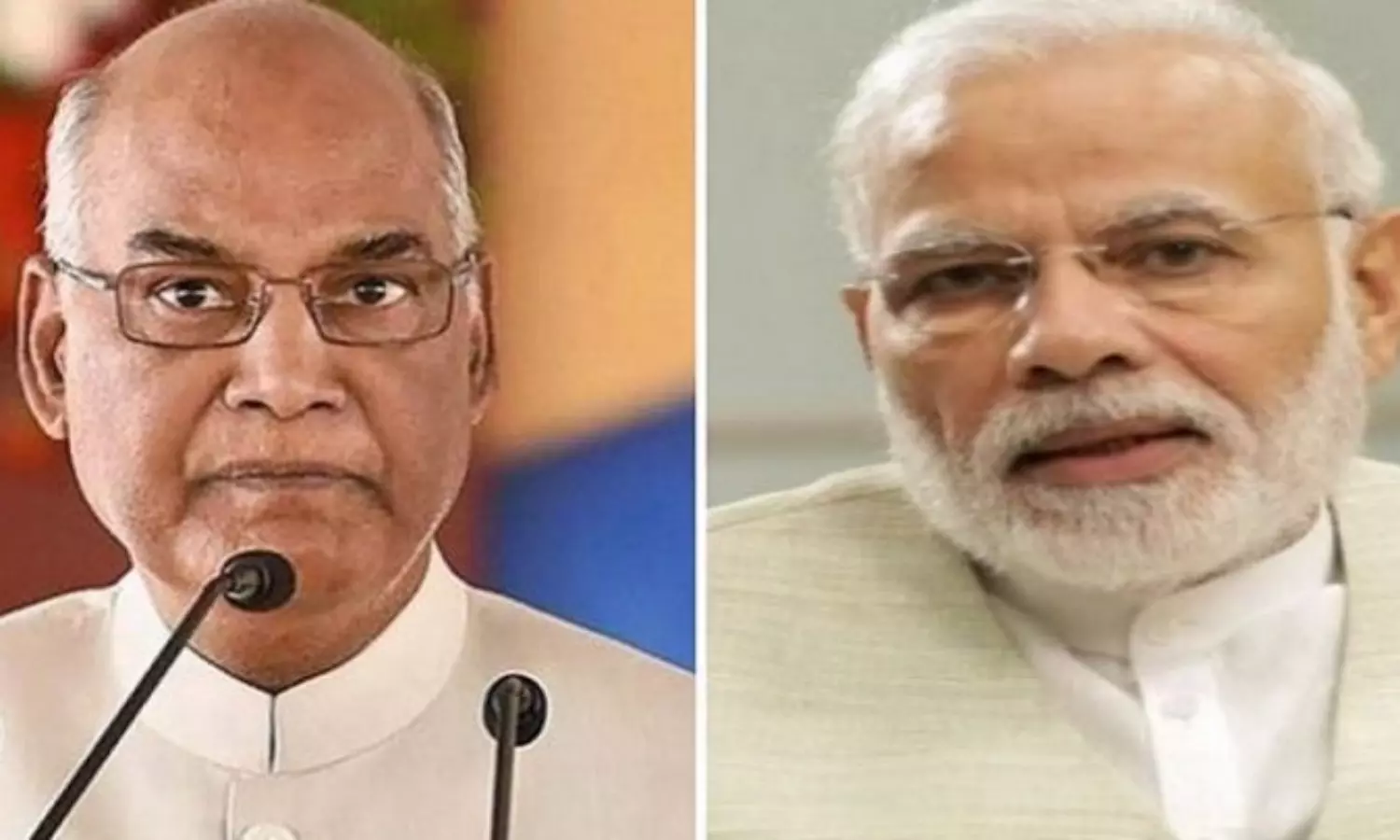 The President should advise - the government