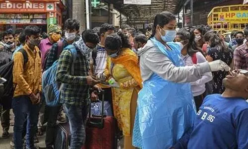 India records 8,439 new Covid-19 cases, 23% higher than yesterday