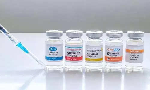 Submit clinical data to consider booster vaccines: Expert panel