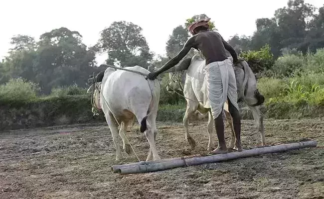 Three farmers die by suicide allegedly due to crop failure in Bengal