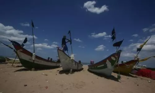 13 more Indian fishermen from Tamil Nadu arrested by Sri Lankan Navy