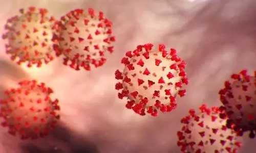 Study finds Covid-19 can trigger anti-attacking antibodies