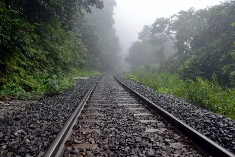 K-Rail: A guise to convert 10,757 hectares of forest into townships
