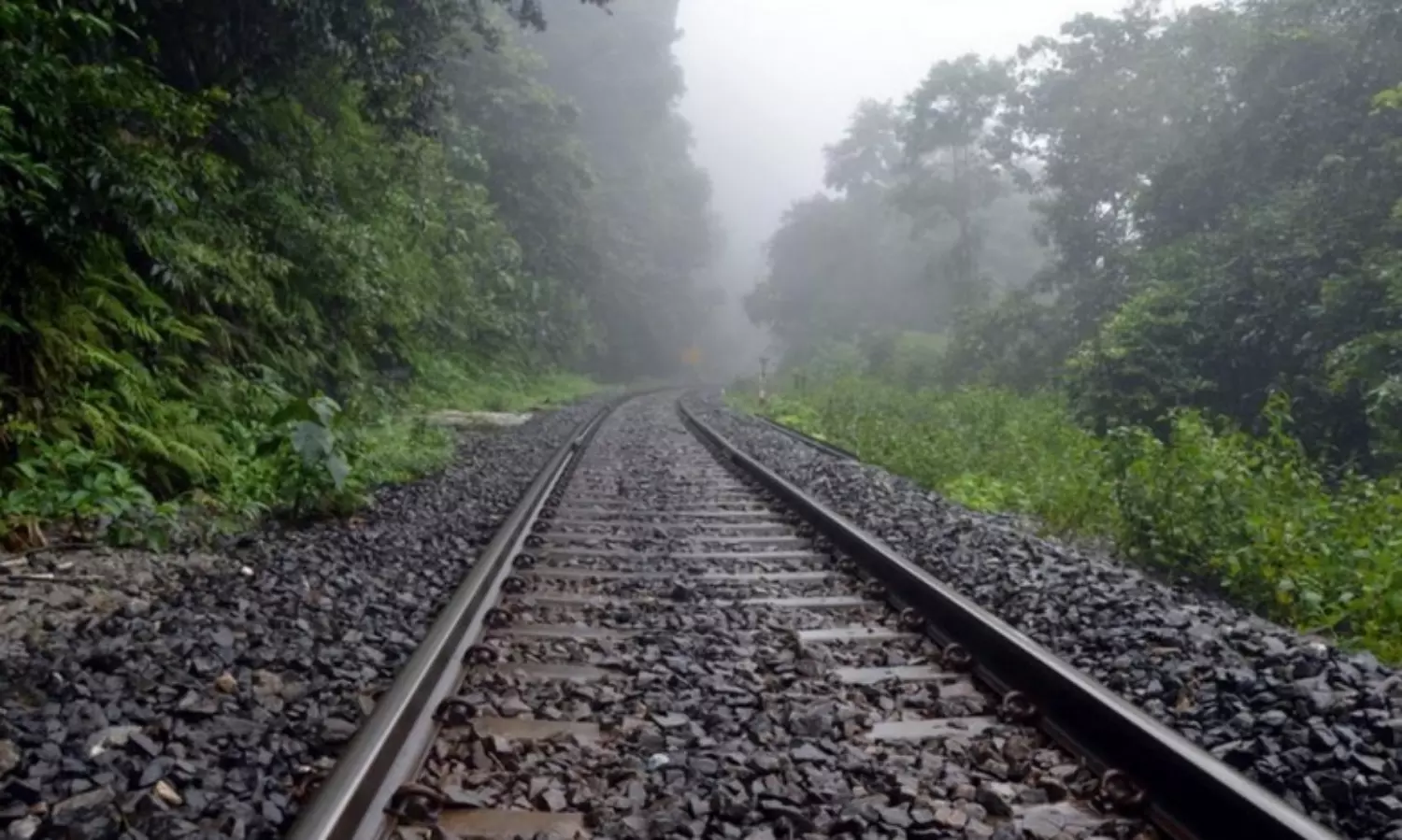 K-Rail: A guise to convert 10,757 hectares of forest into townships