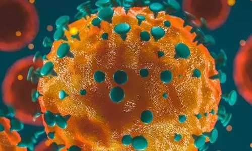 New Covid variant IHU emerges in France, no investigation by WHO yet