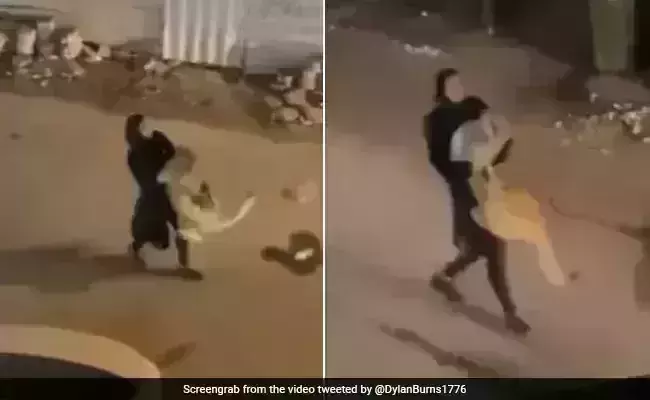 Video of woman carrying struggling lion in her arms stuns internet