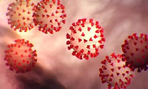 Virus loses power to infect in minutes through air: Study