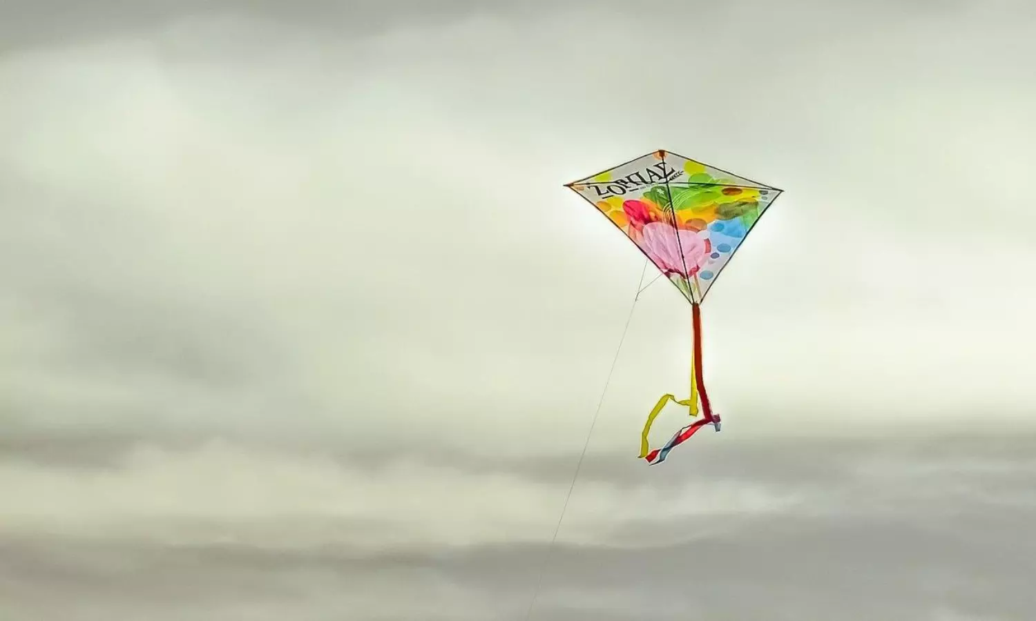 20-year-old dies in MP after kite string slashes her throat