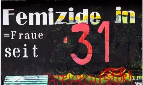 Austria sees curious surge in femicide: 319 cases in 10 years.