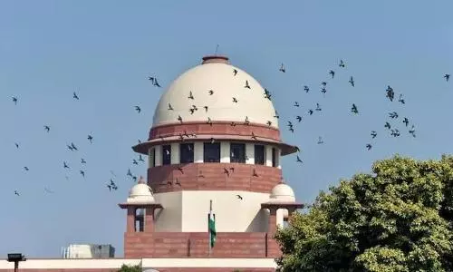 SC asks states to reach out to families, dont wait for them to file claims on Covid compensation