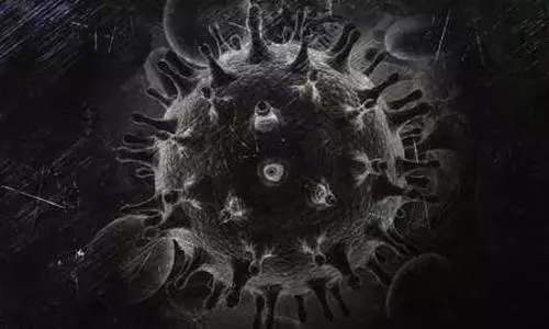 NeoCoV is not a new virus nor is it a variant of COVID-19, heres why