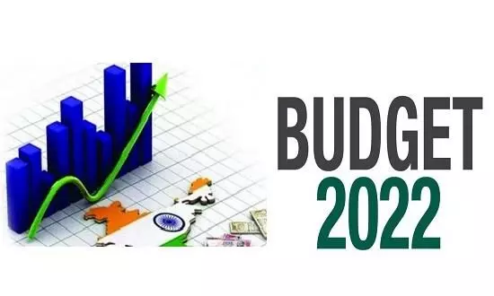 What do experts expect from the Union Budget 2022?