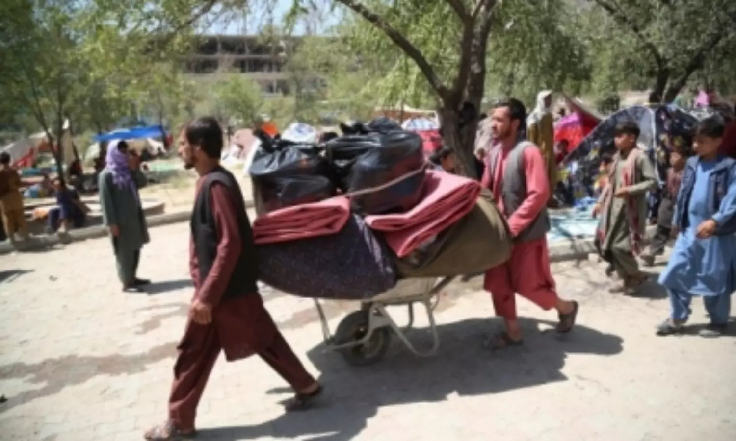 Iran becomes a refuge for over a million Afghans fleeing economic collapse