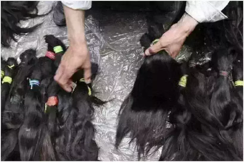 ED busts money laundering ring linked to human hair smuggling to China