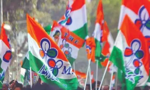 TMC begins purging members who have filed nominations against official candidates