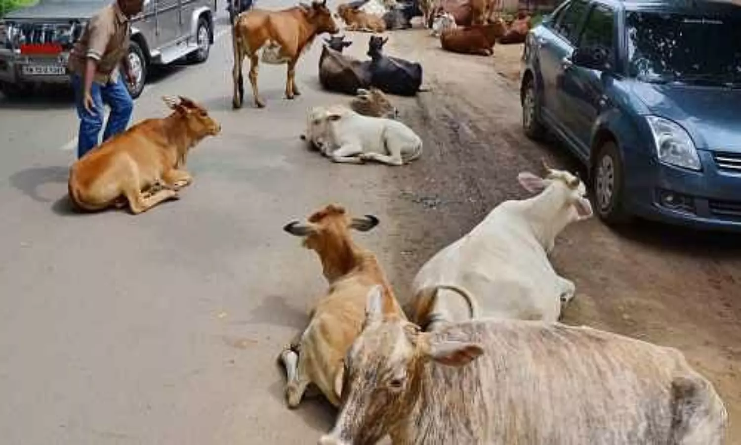 Could Yogis waning cow slogan undercut BJPs hopes in UP?