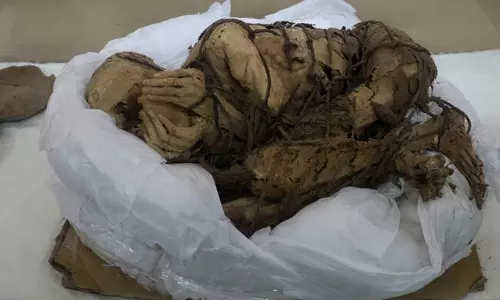 Kids and adults sacrificed 1,200 years ago unearthed in Peru