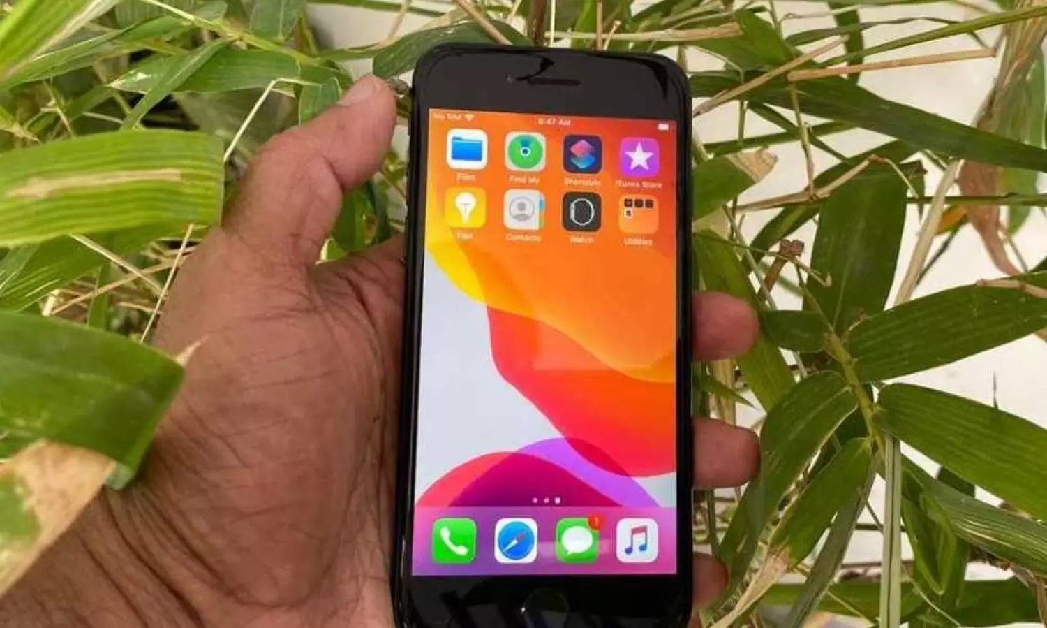 Itching to possess an iPhone? Here come a cheaper model