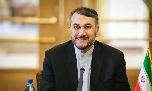 Nuclear deal subject to Tehrans red lines: Iran