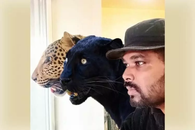 Indian doctor unwilling to leave Ukraine without his pet panther and jaguar