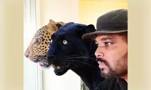 Indian doctor unwilling to leave Ukraine without his pet panther and jaguar