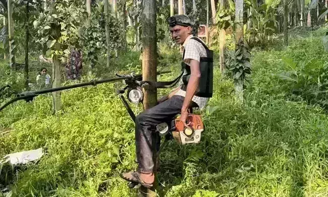 Indian farmer invents tree scooter for areca nut harvest