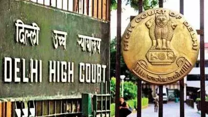 Child in womb must be born as a free citizen: Delhi HC grants bail to pregnant woman