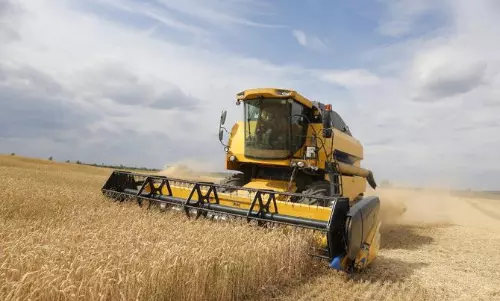 Russian invasion deprives Middle East and North Africa of wheat supplies