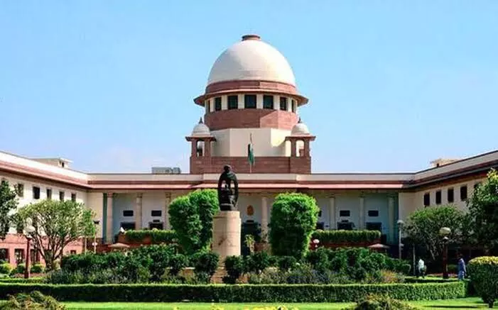 In report to SC, amicus says physical literacy should be recognized as fundamental right