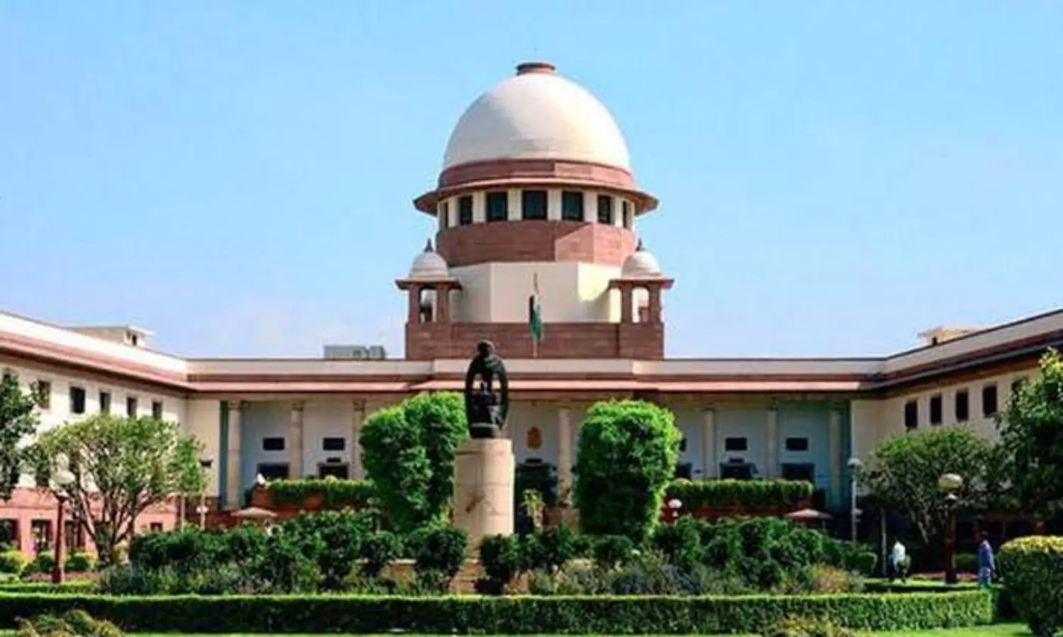 In report to SC, amicus says physical literacy should be recognized as fundamental right