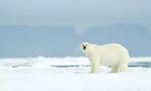 India releases new policy to enhance cooperation in the Arctic