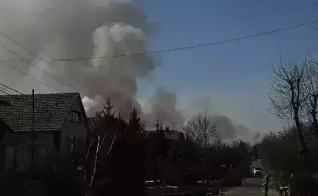 US dismisses Russian claims of bat bioweapons in Ukraine