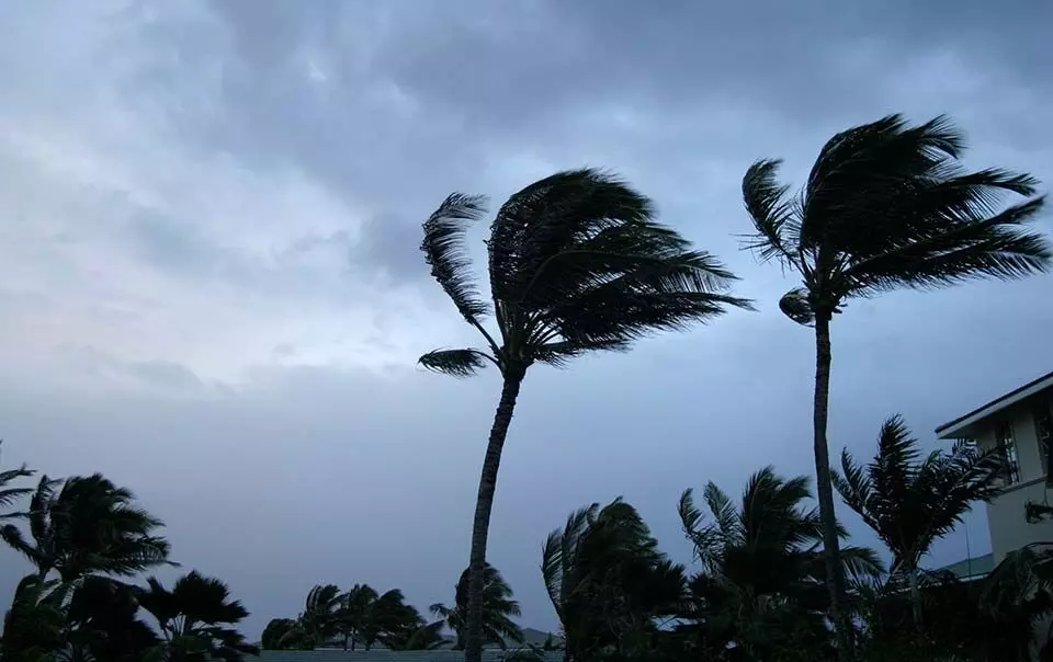 Depression over Bay of Bengal to form Cyclone Asani tomorrow: IMD
