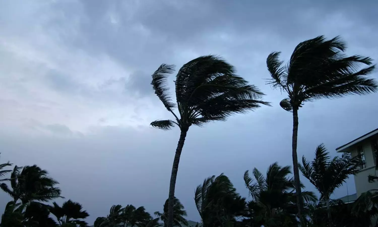 Depression over Bay of Bengal to form Cyclone Asani tomorrow: IMD
