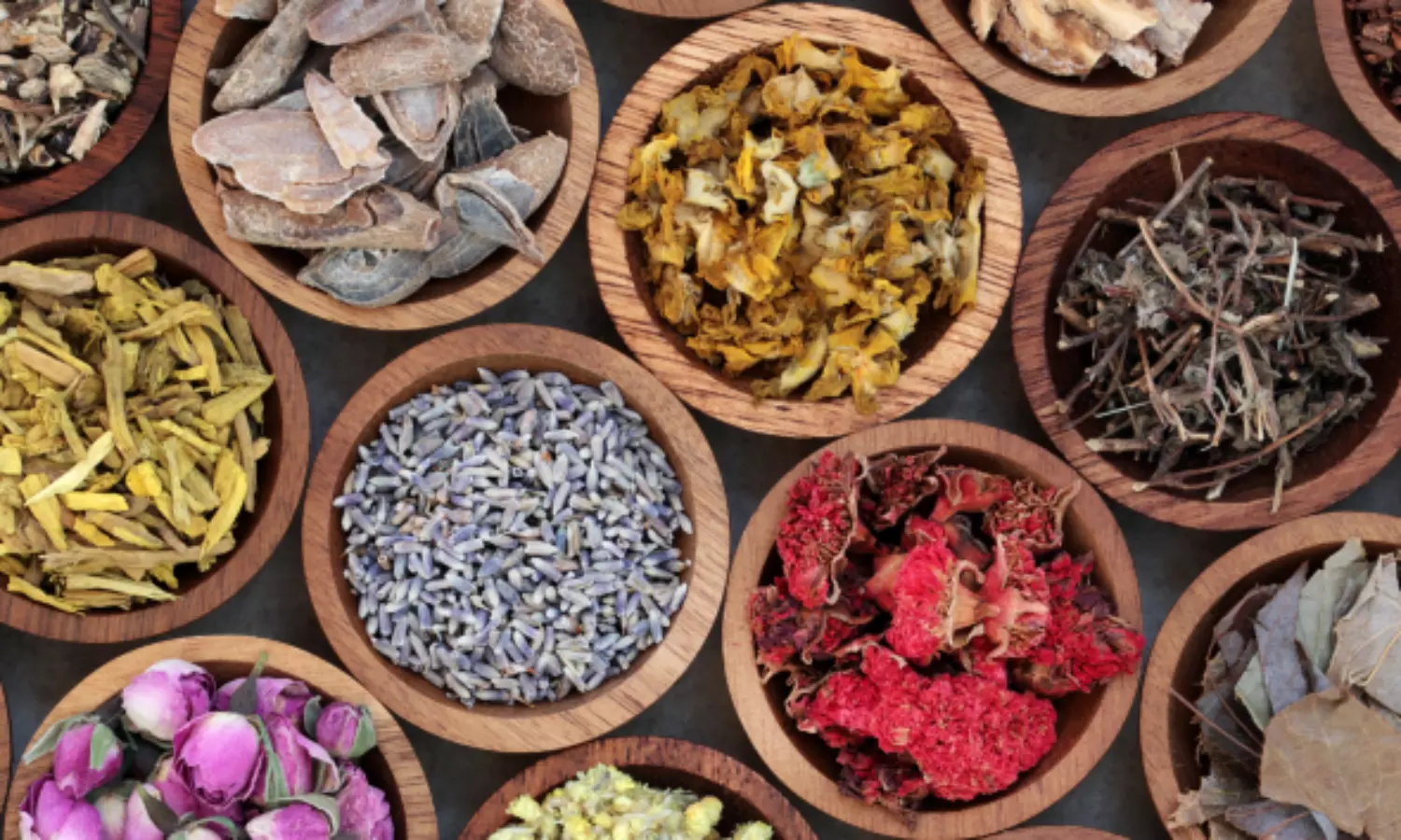 Centre & WHO to build traditional medicine centre in Gujarat