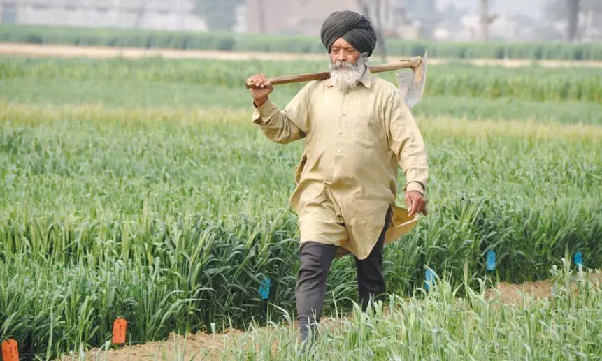 Punjab farmer receives MSP through bank account; a first