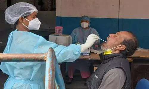 India records 1,260 new Covid cases, 83 deaths in 24 hours