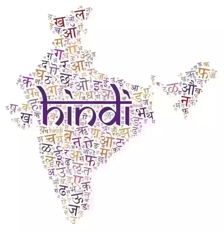 BJPs unity through Hindi meets grave warning from non-Hindi states