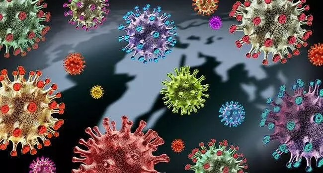 XE variant of coronavirus detected in Gujarat: Govt sources