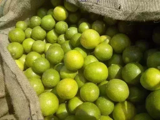 Lemon prices go through the roof at 325/kg