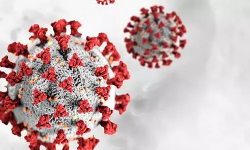 WHO warns coronavirus is far from becoming endemic