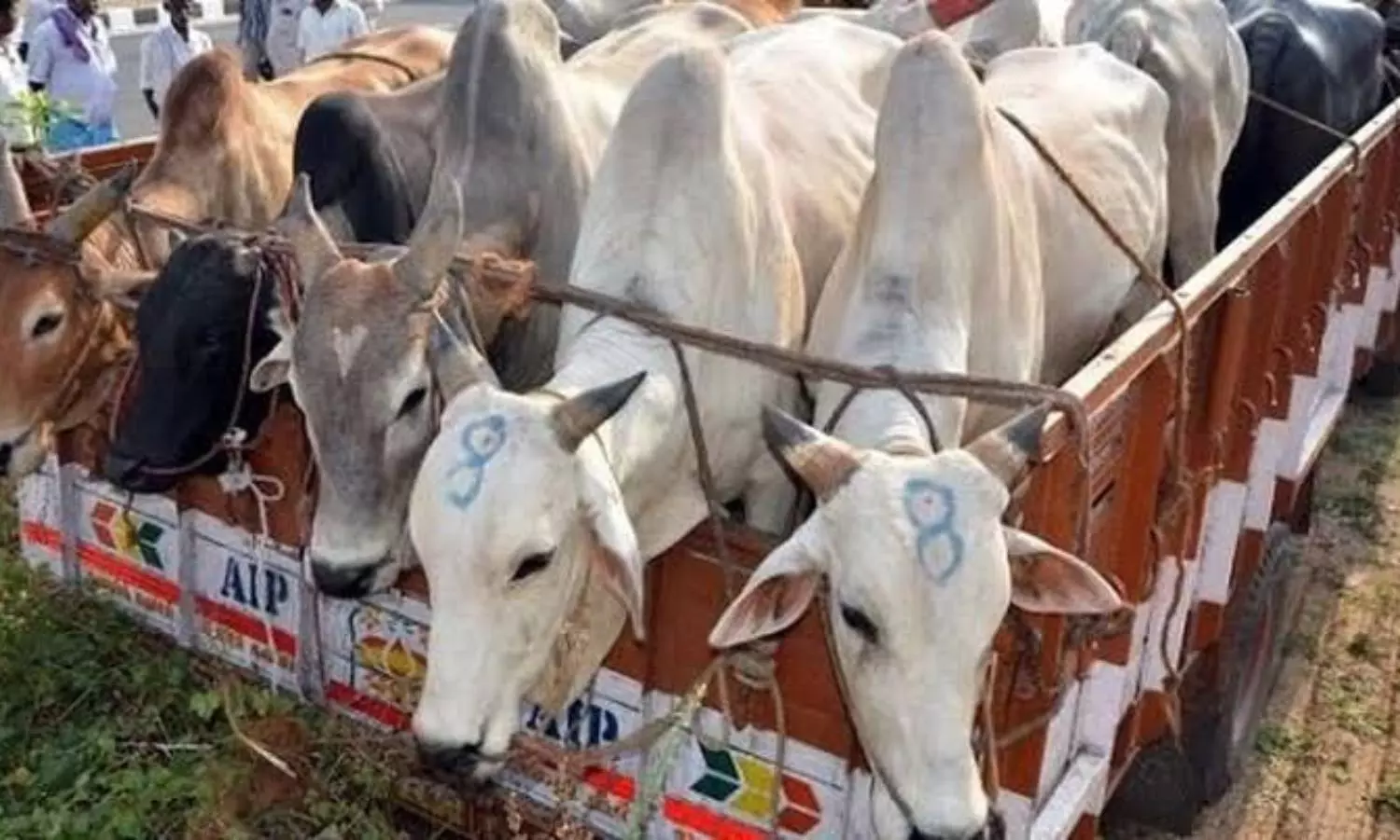 Assam: Two alleged cattle smugglers killed in firing by unknown assailants