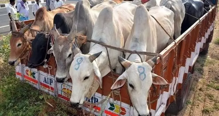 Assam: Two alleged cattle smugglers killed in firing by unknown assailants