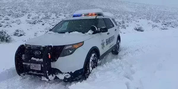 52-yr-old Sheena spent 6 days on yogurt in forest before being rescued