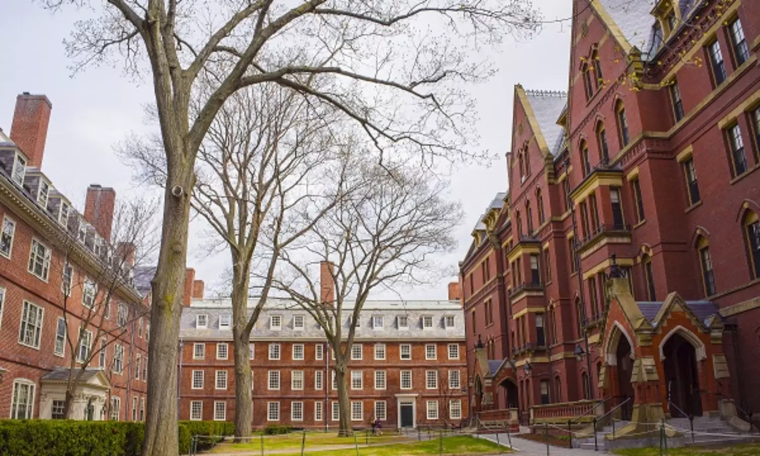 Harvard confesses it was guilty of slavery practices