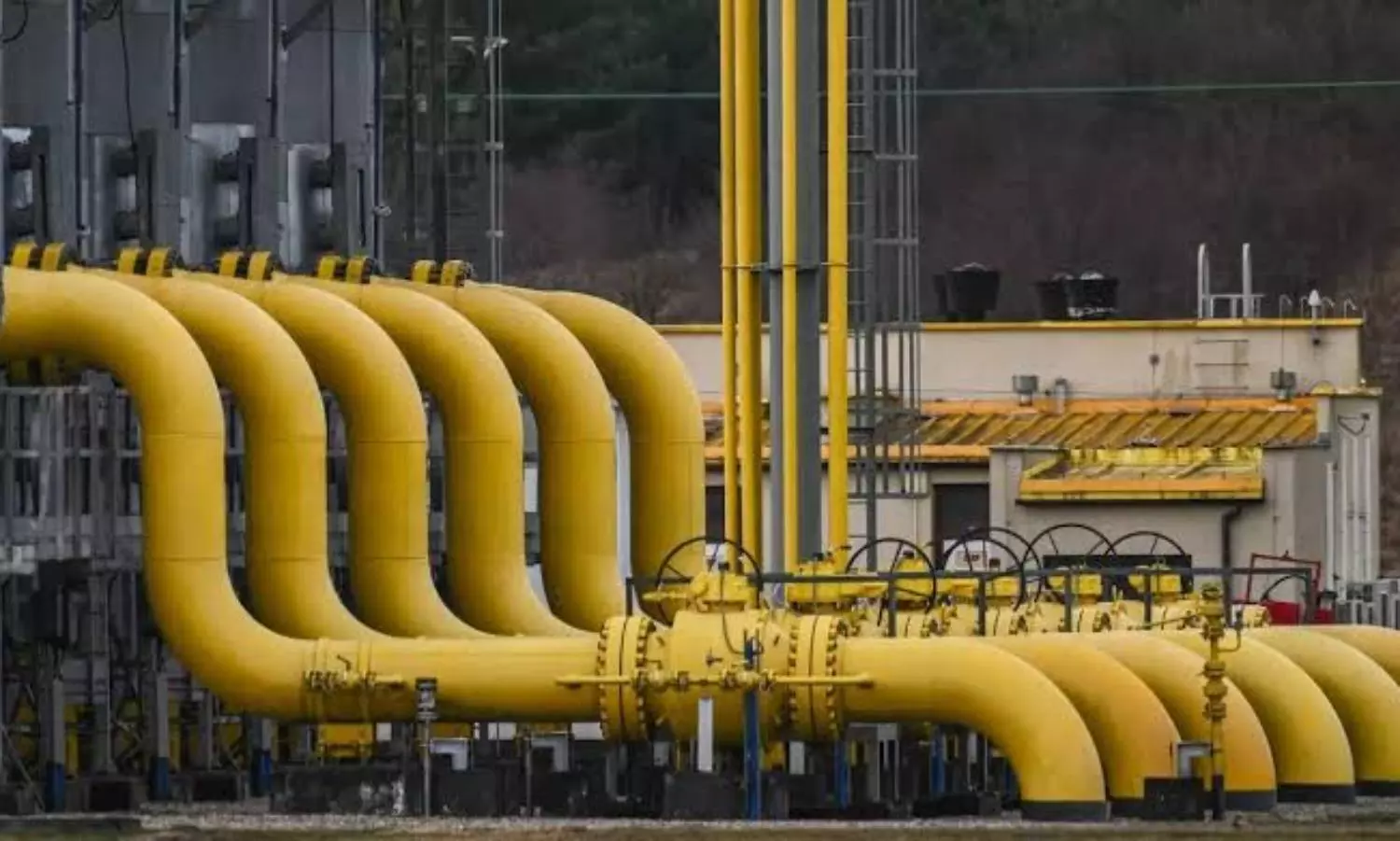 Four European gas buyers made ruble payments to Russia for supplies: Report